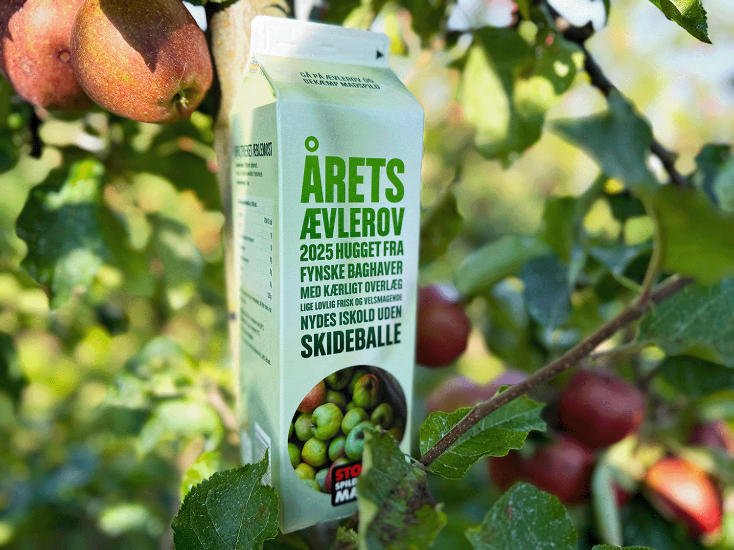 Årets Ævlerov 2025 fra haveæbletræer